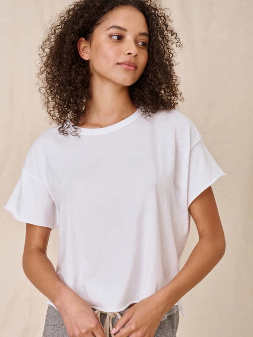 The Great The Crop Tee Top White